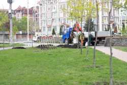 Київ зеленiє попри вiйну