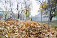 Пять районов Киева отличились в уборке