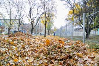 Пять районов Киева отличились в уборке