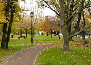 Ремонтировать парк в Харькове захотели две фирмы одного хозяина