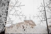 Часть рождественских денег Вильнюс пожертвует Украине