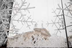 Часть рождественских денег Вильнюс пожертвует Украине