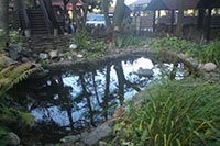 Вместо высоток на месте гостиницы построят пентхаусы