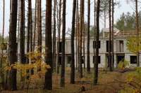 Лес под Киевом все еще могут застроить многоэтажками