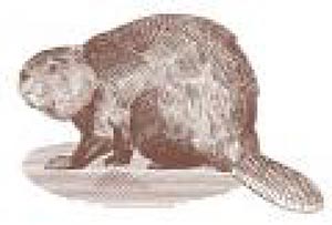 Ассоциация Реконфисс