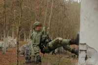 Белорусы за границей готовятся свергать Лукашенко