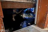 До лiта у Днiпрi вiдремонтують 30 лiфтiв