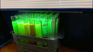 Разрабатывается энергоэффективная краска