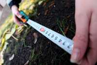 Дачникам и застройщикам в 200 раз увеличат штраф за захват земли