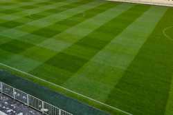 Закарпатье передумало строить стадион