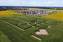 Доступ юрлиц на рынок земли взвинтит цены