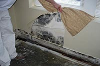 Почему в квартирах появляется грибок. Видео