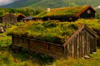 На строительном рынке Украины новинка – живая кровля