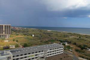 Землю у моря бесплатно выделили под дачи