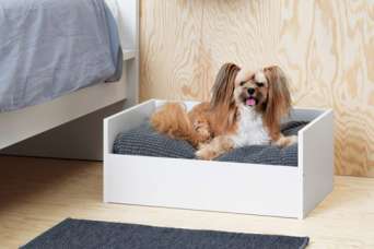 Архитектура для собак