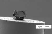 Построен самый маленький в мире дом