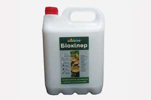 Himdecor выпустил новую антибактериальную грунтовку