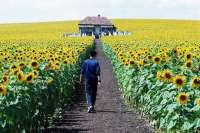 Под Львовом незаконно выдали землю