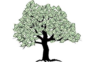 Зелень для Киева – на вес золота