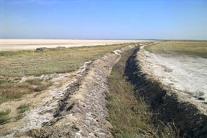 В Херсонской области под застройку отдали заповедные земли