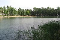 Львовские парки за 674 тыс. грн. приведут в порядок