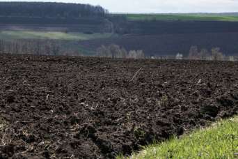 Мораторий на продажу земли могут снять