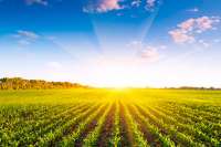 Как классифицируются земли Украины, в зависимости от целевого назначения. Часть 2