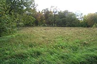 Очередной застройщик лишился земли из-за неуплаты аренды