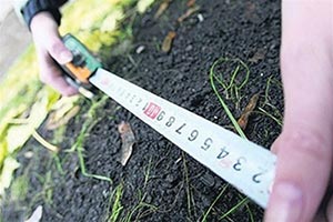 Львову не удалось продать земельный участок