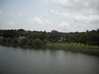 Благотворительный фонд незаконно пользовался землей возле озера на Волыни