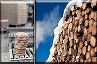 Создан древоцемент – новый материал для облицовочных панелей