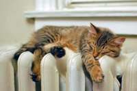 «Киевэнерго» сообщает, что снизило стоимость отопления на 41%