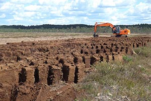 Чернигов чуть не лишили запасов торфа