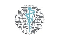 В рамках сотрудничества с Польшей во Львове обновят ветцентр