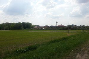 Под Киевом из незаконного владения забрали 6 га леса