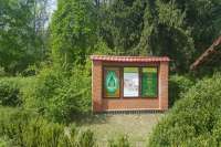 Под Киевом из незаконного пользования изъяли 1,5 га леса