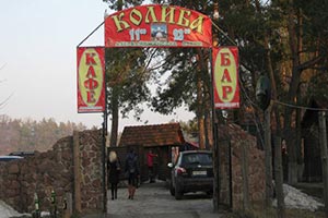 Еще одной забегаловке разрешили находиться в парке Киева