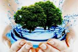 У Києвi зросте кiлькiсть об'єктiв природно-заповiдного фонду