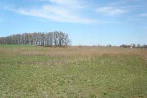 Госземагентство незаконно раздало землю под Киевом