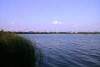 Київ не вiддав дiлянку бiля озера Тягле