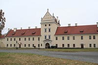 На ремонт Жолковского замка у Кабмина просят 2,6 млн. грн.