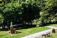 У Львовi побiльшає зелених зон