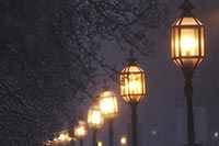 В Деснянском районе за пожертвования обновят освещение