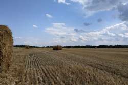 Доступ к кредитам на покупку земли увеличат