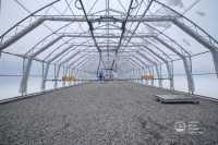 Новый центр позволит быстрее восстанавливать леса