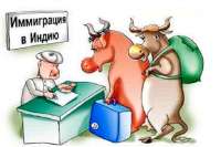 Строительные курьезы: энергосберегающие лампочки в Индии. Видео