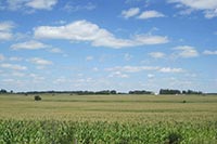 ЕС поможет создать в Украине рынок земли