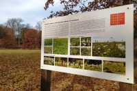 Для озеленения Киева будут использовать опыт Праги