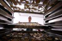 Каждая десятая российская компания остановила бизнес