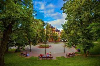 На озеленение Ивано-Франковска выдали 3 млн. грн.